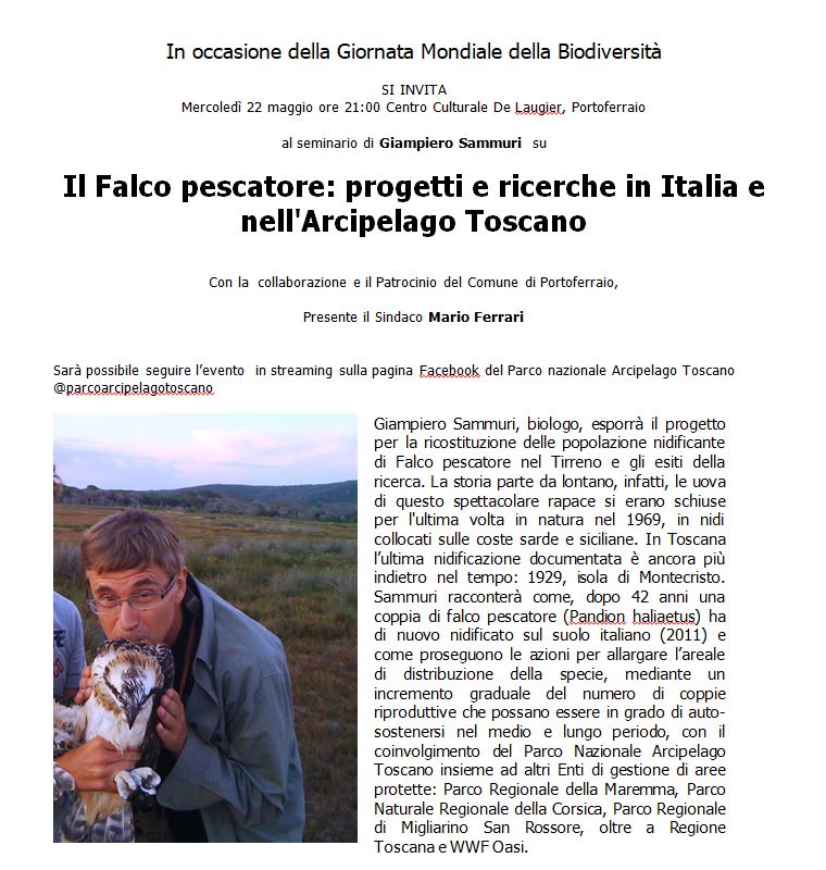 invito 22 falco pescatore