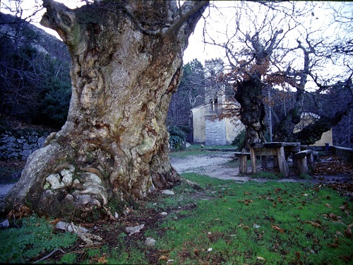 santuario madonna del monte