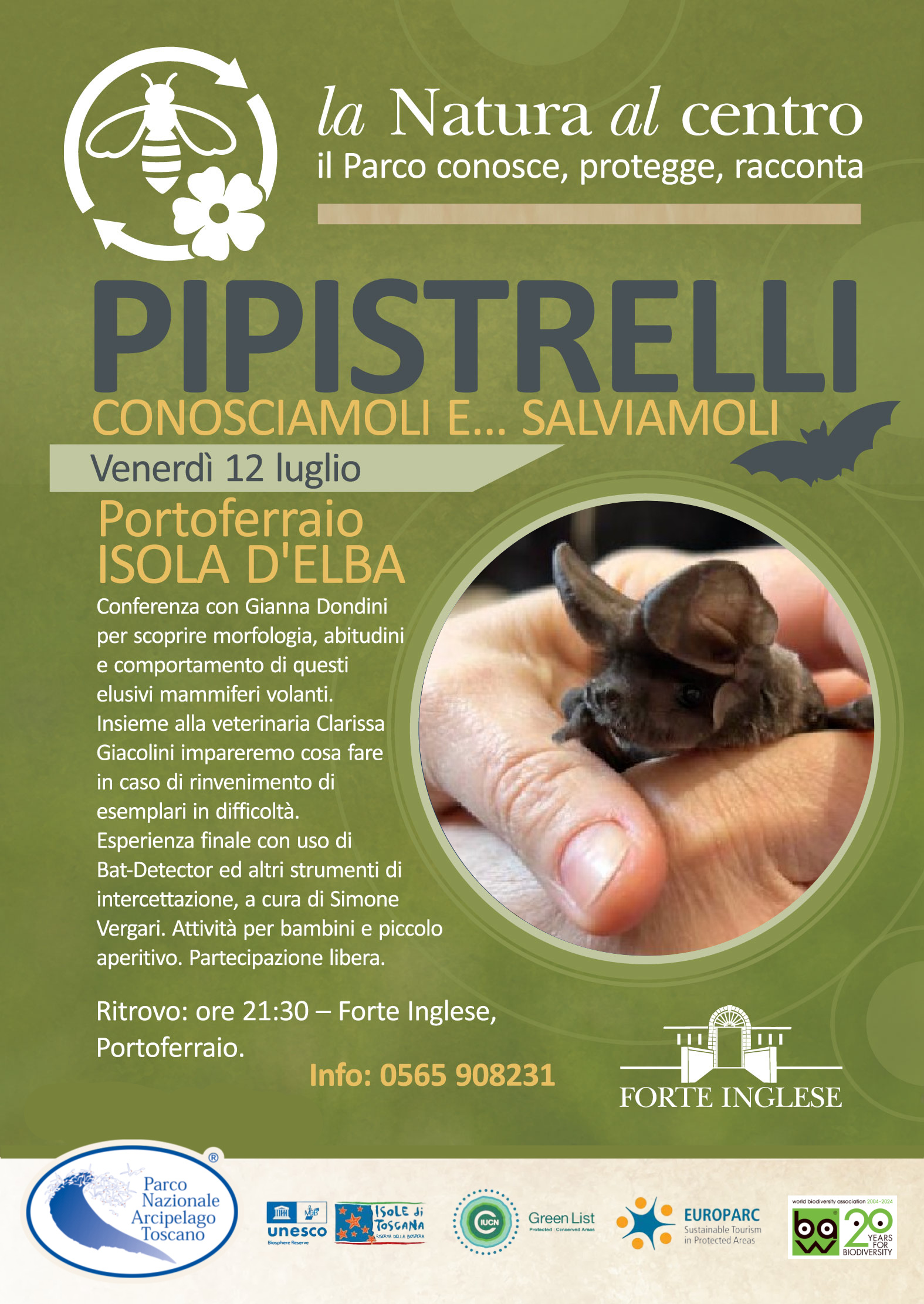 la natura al centro pipistrelli web C