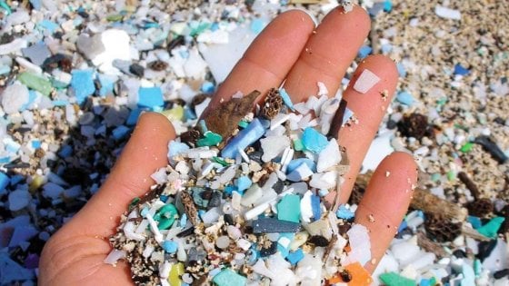 microplastiche da internet di Repubblica