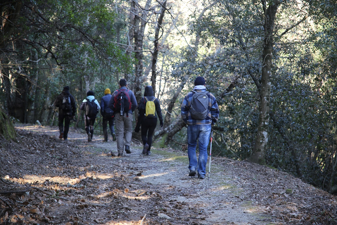 passeggiata bosco marciana