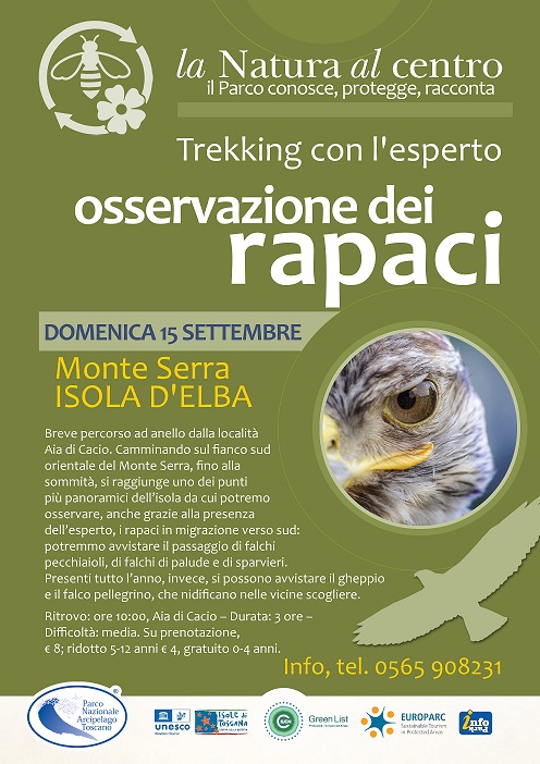 rapaci 15 settembre 